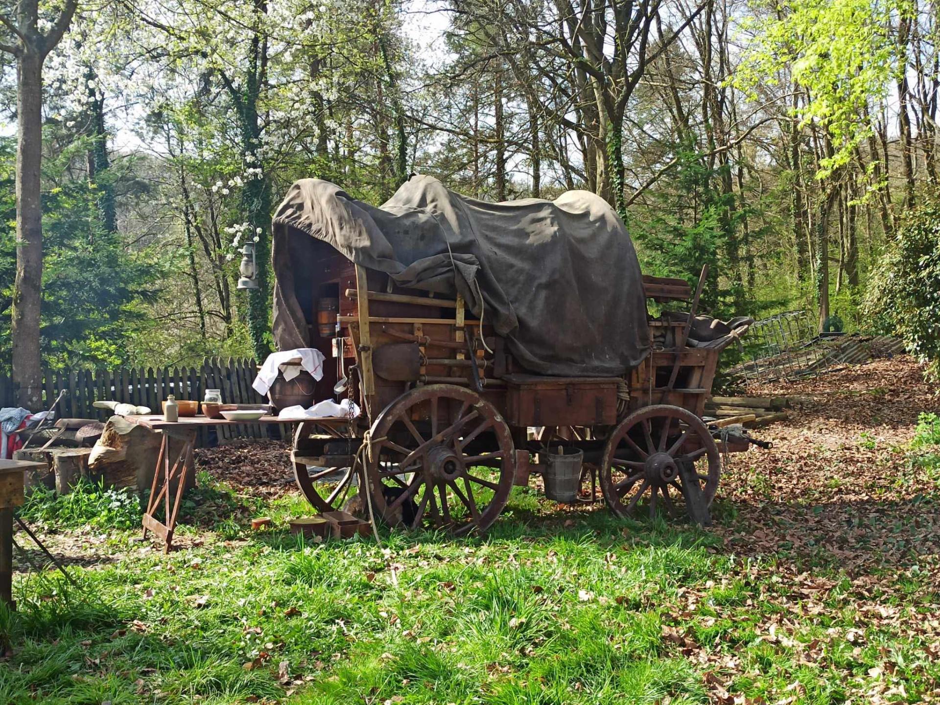 Fb img 1766572785314